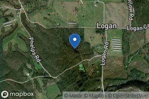 Logan Spring icon