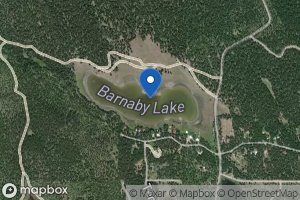 Barnaby Lake icon