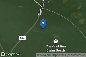 Chestnut Run icon