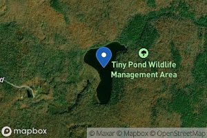 Tiny Pond icon