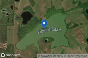 Flossie Lake icon