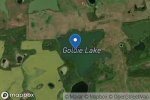 Goldie Lake icon