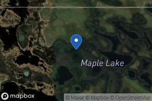 Maple Lake icon