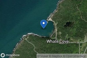 Whale Cove icon