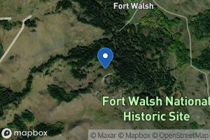 Fort Walsh Creek icon