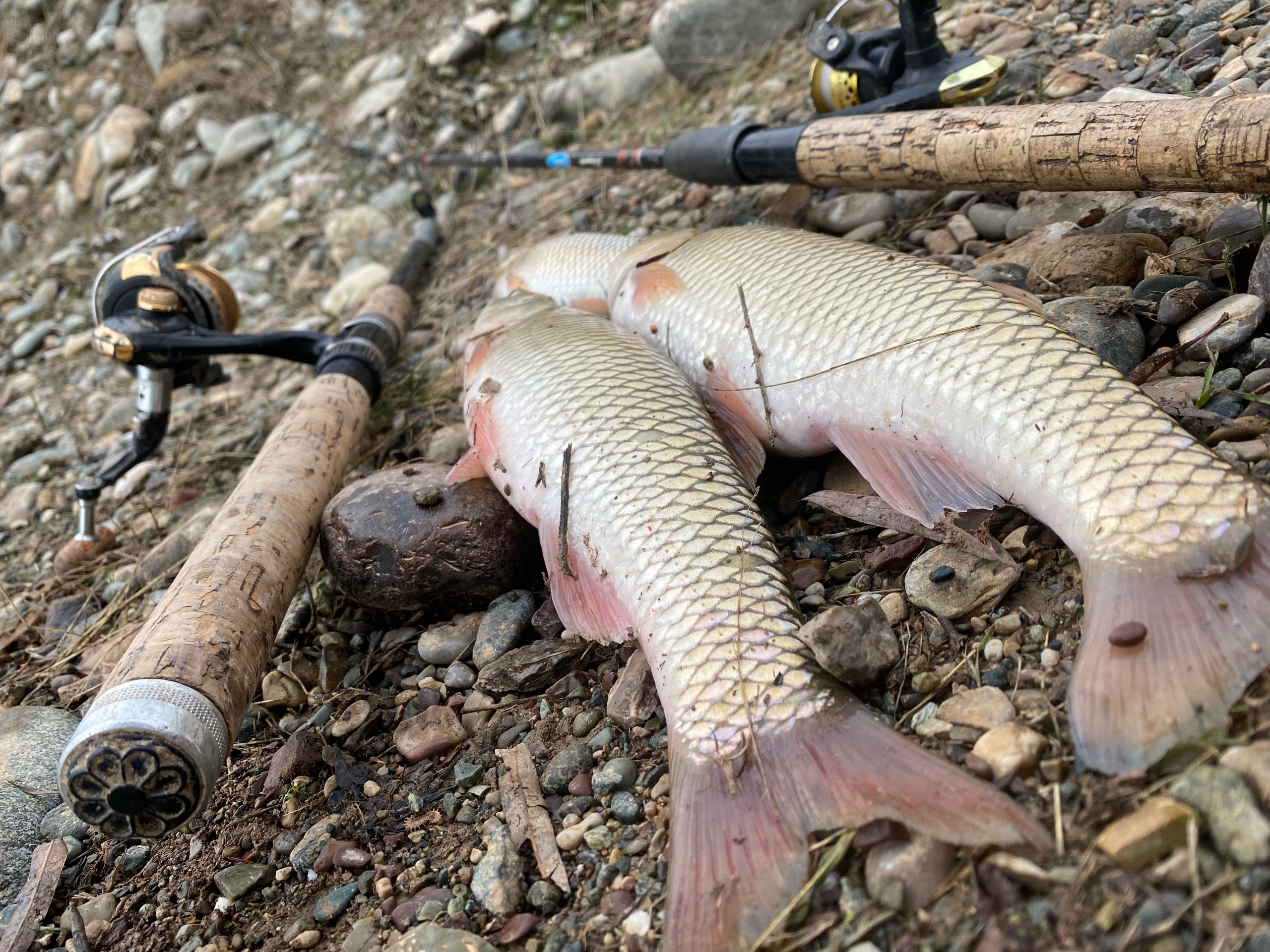 Freshwater: Bass still biting despite hot, humid weather