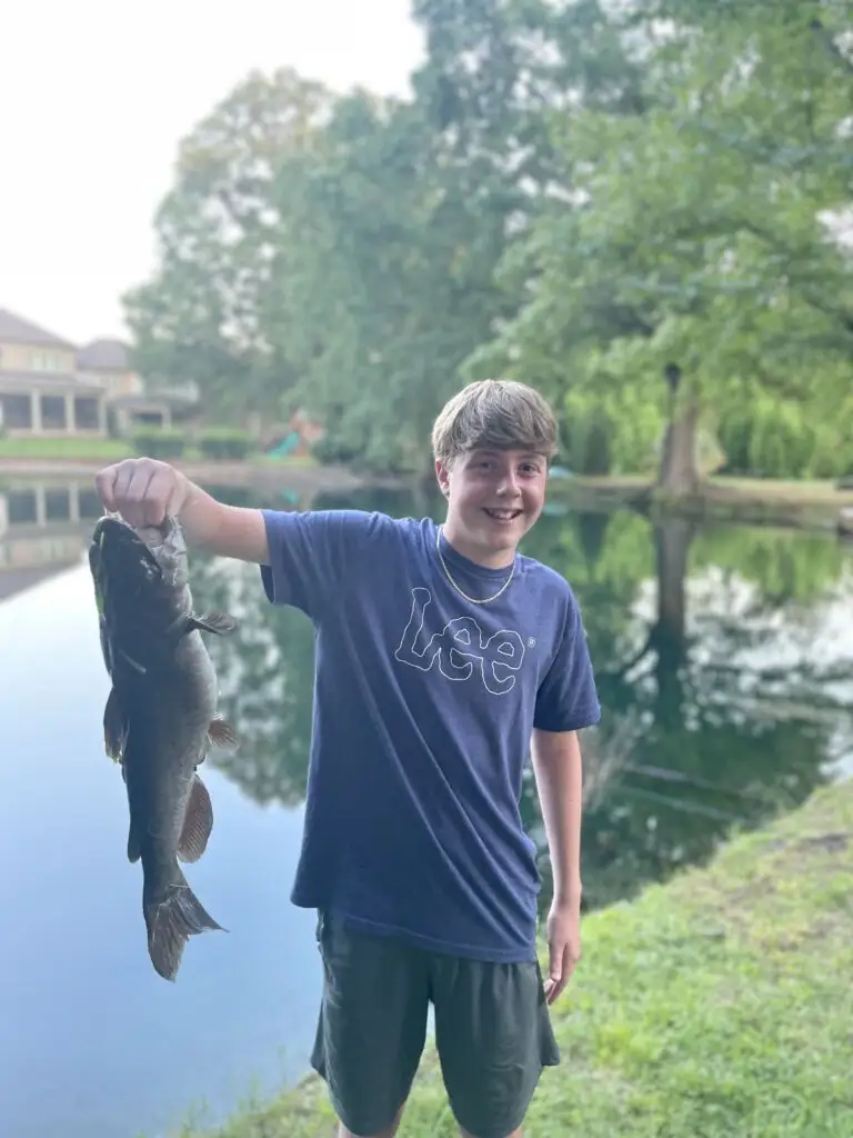 Catfish with a Punch: Pro Tips for Going After Summer Catfish