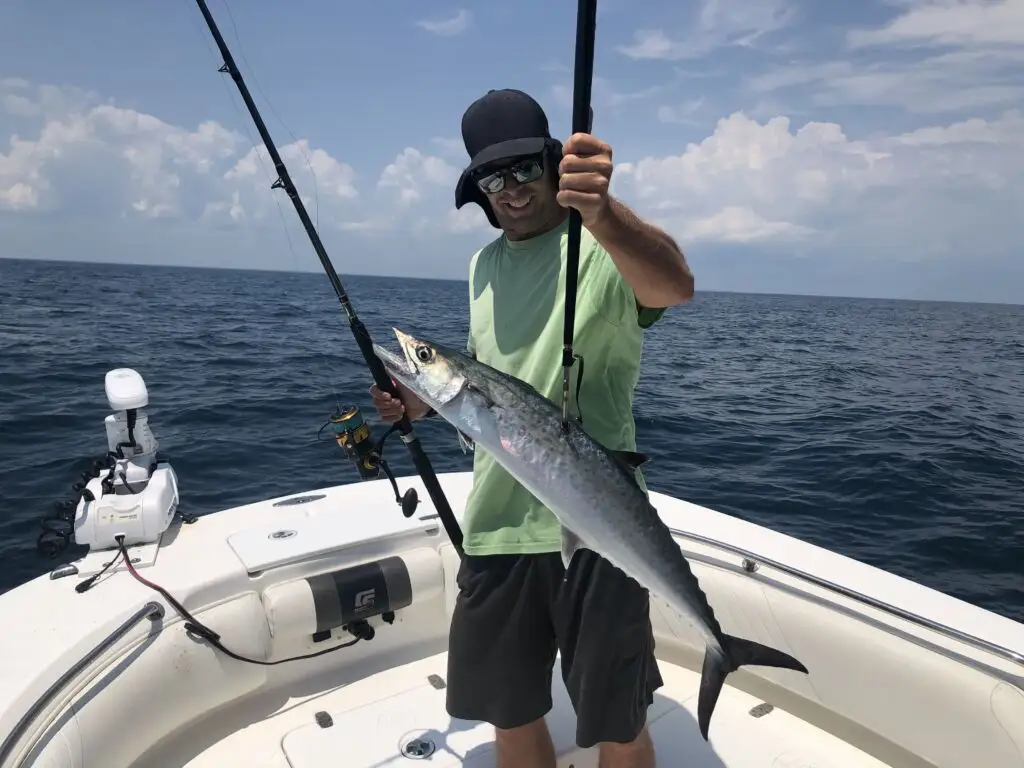 Top Tips for King Mackerel Fishing: Best Rigs, Lures, and Bait