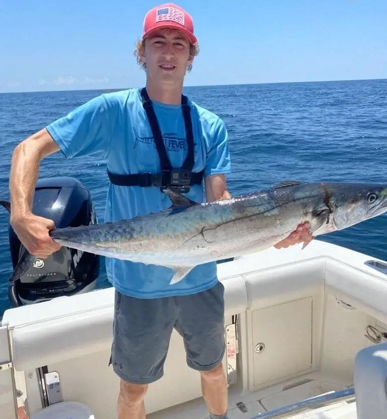 Fishing for King Mackerel: tips and tricks