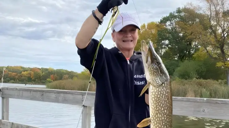 Wisconsin Fishing Seasons: Your Comprehensive Guide