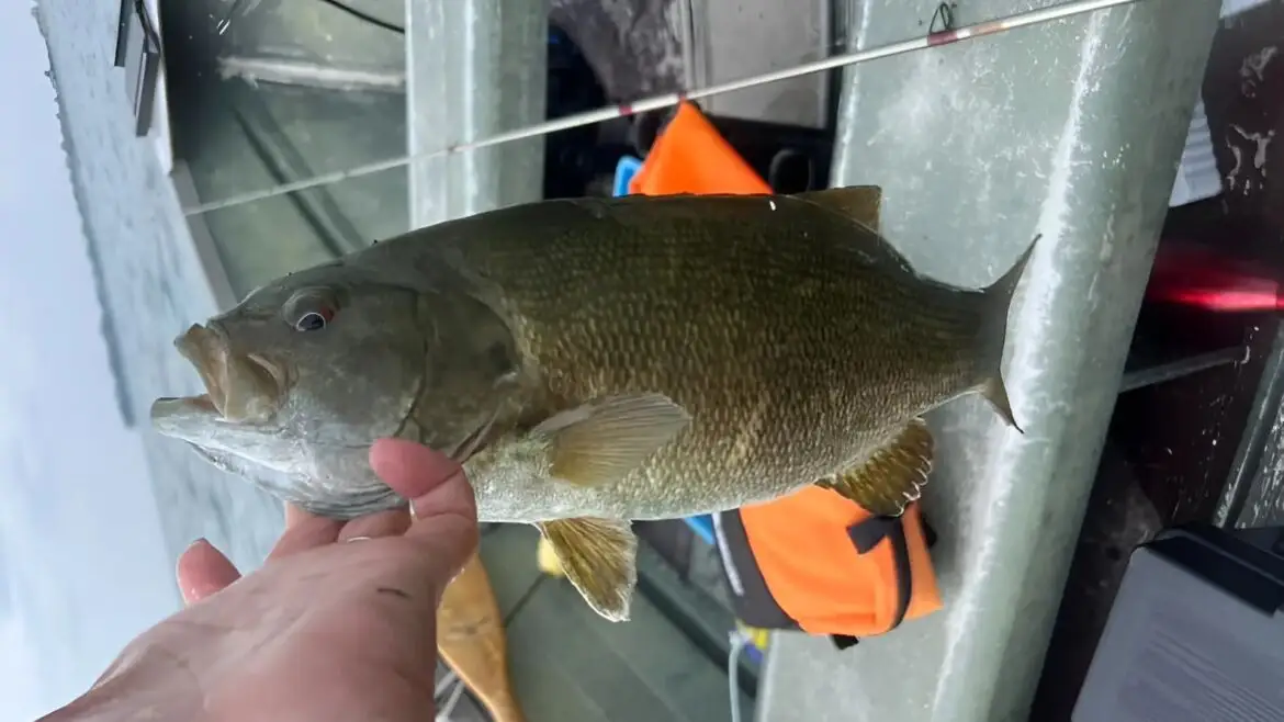 Your Comprehensive Guide to South Carolina Fishing Seasons
