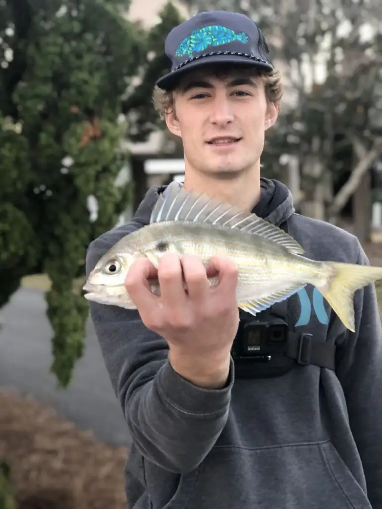 Pinfish bait in hand