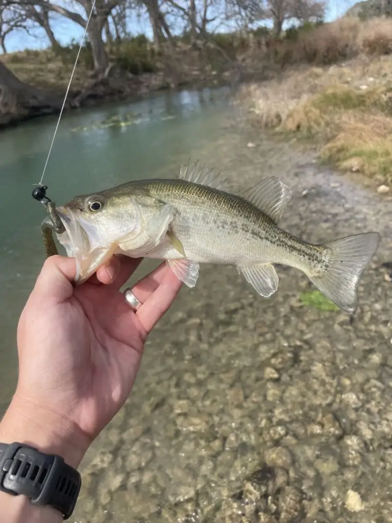 How to fish a jig