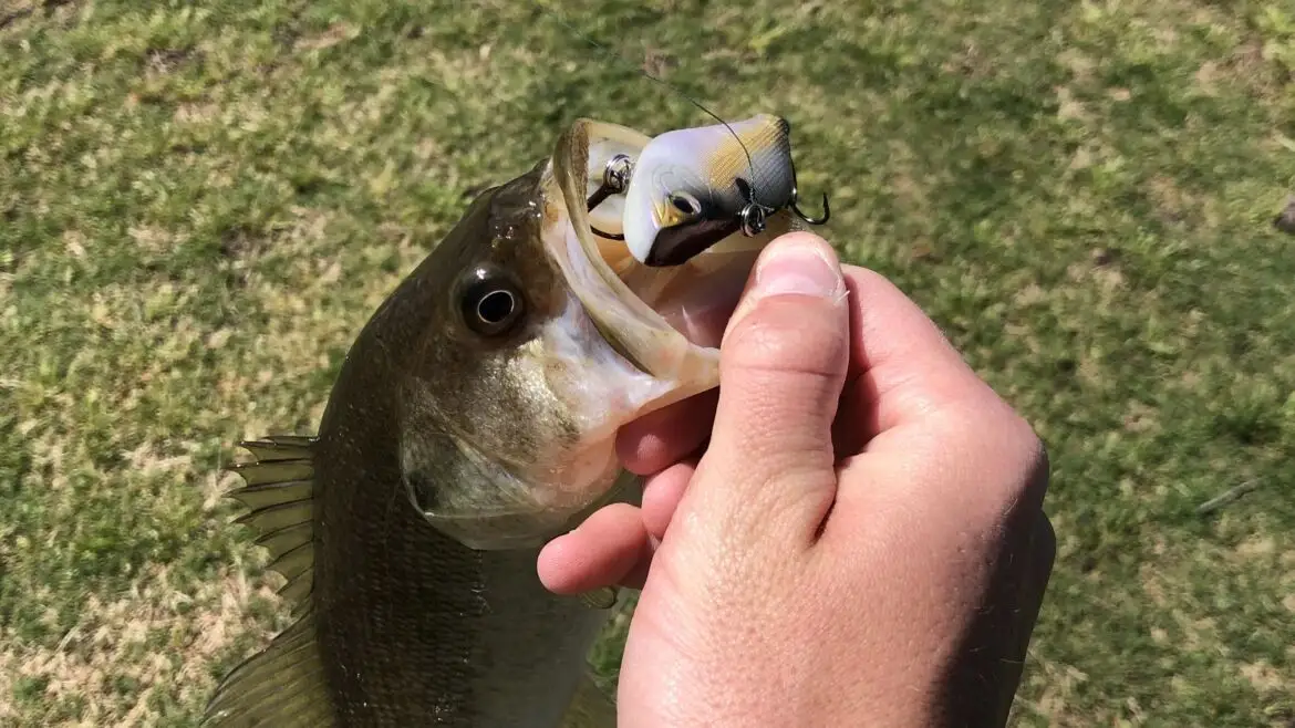 The Ultimate Guide to Jig Fishing: Tips, Techniques, and Best Practices for Beginners