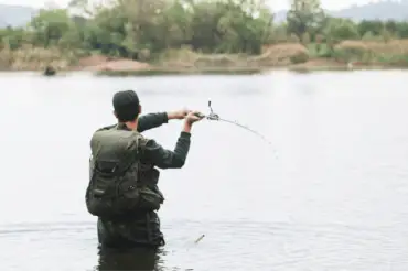 Best Tide to Go Fishing: High or Low Tide?